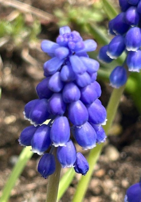 thumbnail_IMG_5056