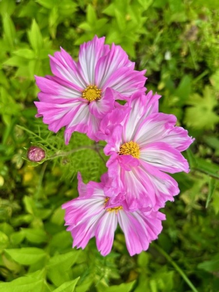 thumbnail_IMG_8333