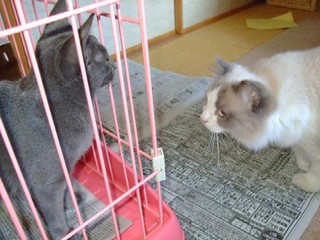 2007_09300060