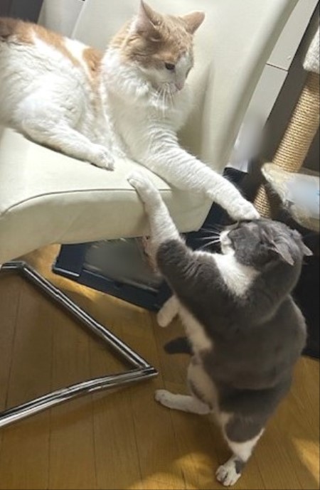 thumbnail_IMG_3766 (1)