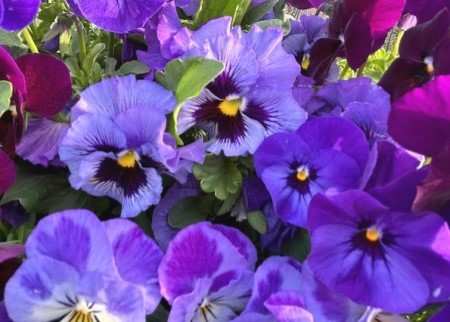 thumbnail_IMG_9343