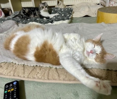 thumbnail_IMG_4823 (1)