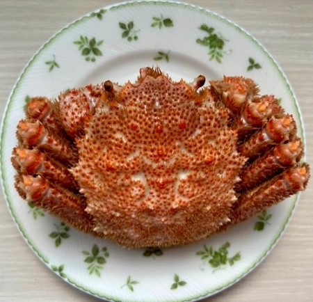 thumbnail_IMG_3378 (1)