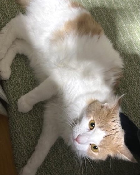 thumbnail_IMG_4926 (1)