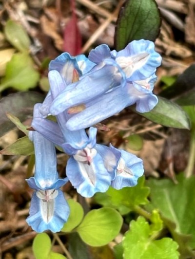 thumbnail_IMG_9561