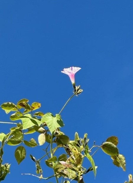 thumbnail_IMG_9127