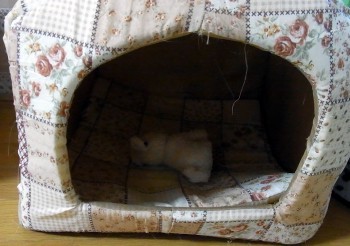 「猫だらけ」
