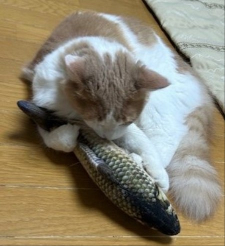 thumbnail_IMG_3091
