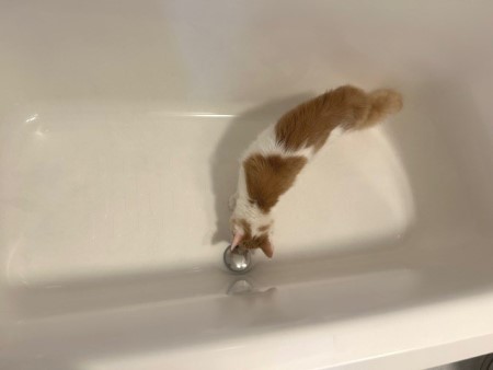 thumbnail_IMG_5061 (1)