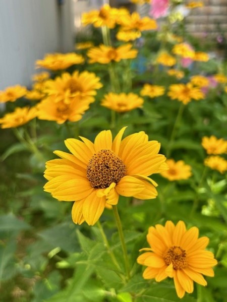 thumbnail_IMG_9541 (1)