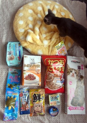 「猫だらけ」