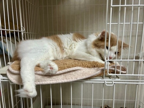 thumbnail_IMG_2979 (1)