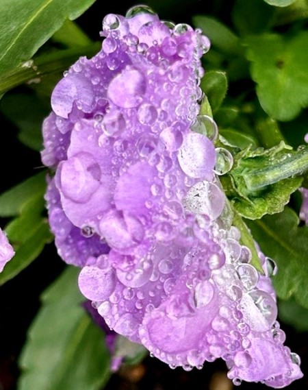 thumbnail_IMG_4688 (2)