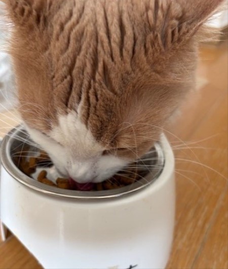 e60fd2a6-7e3b-4cba-a706-e631895dfc0e