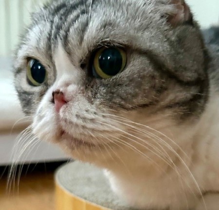 thumbnail_IMG_7119 (1)