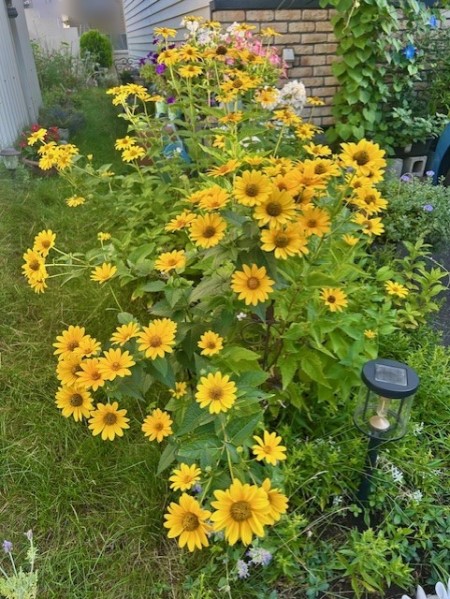 thumbnail_IMG_0670 (1)