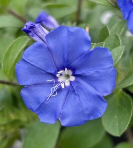 thumbnail_IMG_0846 (2)