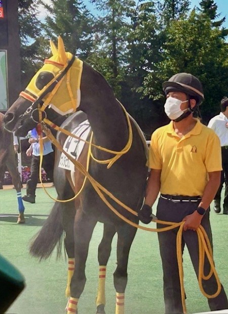 thumbnail_IMG_0460 (1)