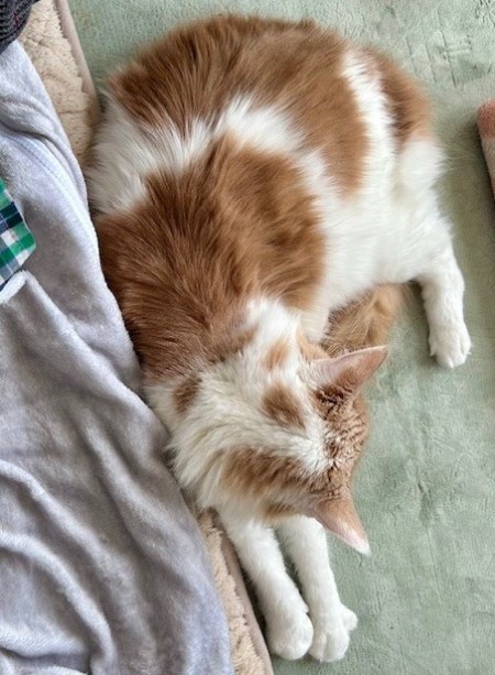 cefa08d3-7510-455b-a75e-19bc5b34c6eb