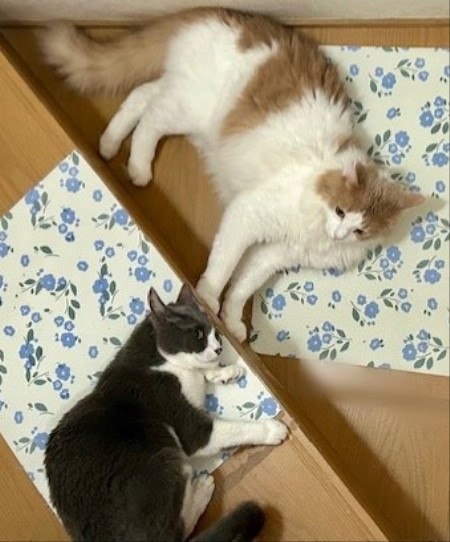 thumbnail_IMG_6170 (1)