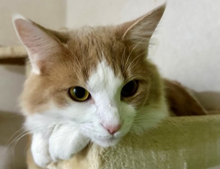 thumbnail_IMG_0275 (3)