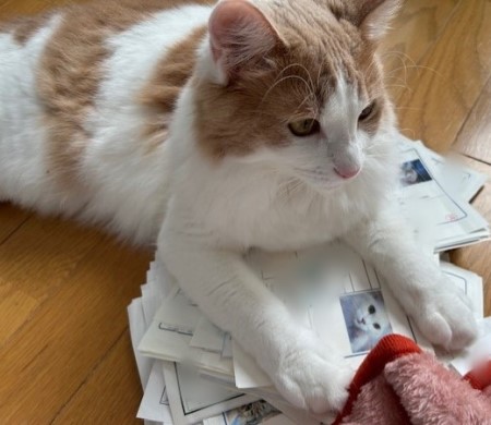 thumbnail_IMG_6376 (1)