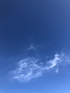 IMG_5953