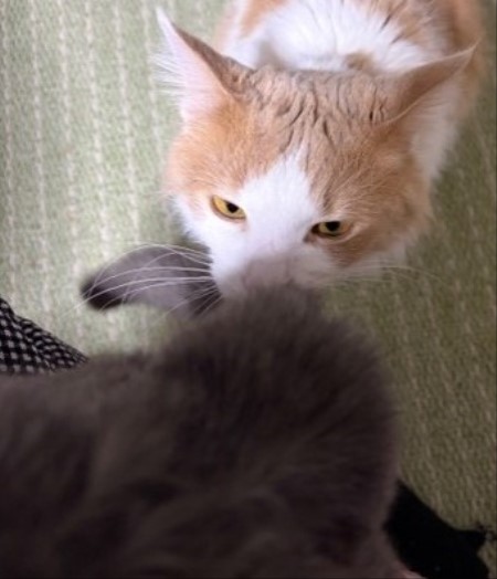 d7e9a34f-9a5c-436d-8dee-de746afc6a12