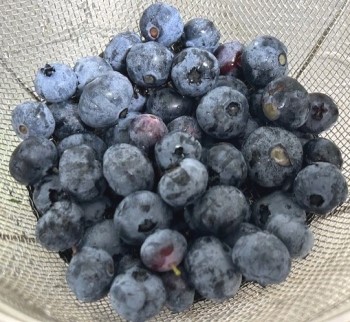 thumbnail_IMG_3386_1