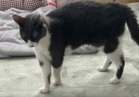 thumbnail_IMG_3933_1