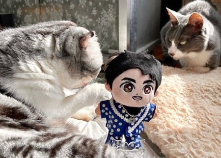 thumbnail_IMG_3300 (1)