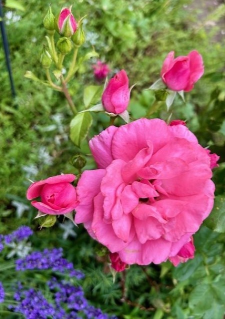 thumbnail_IMG_8918 (1)