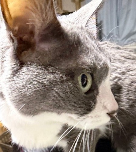 b593ed97-4882-4646-a55c-c85c52c7e8c4