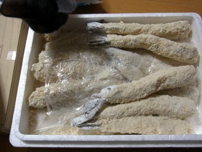「猫だらけ」