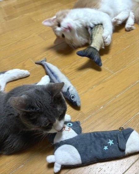 thumbnail_IMG_3085 (1)