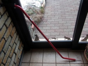 「猫だらけ」