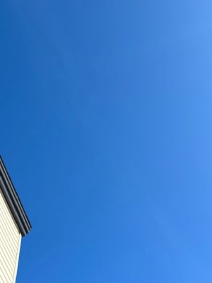 thumbnail_IMG_2582 (1)