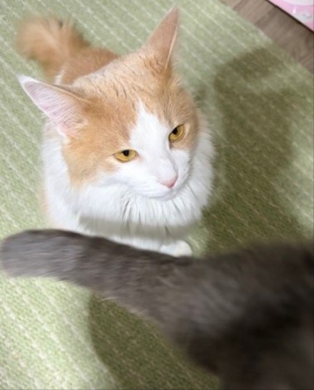 2153a571-fae2-467d-b5d7-f71525fc251c