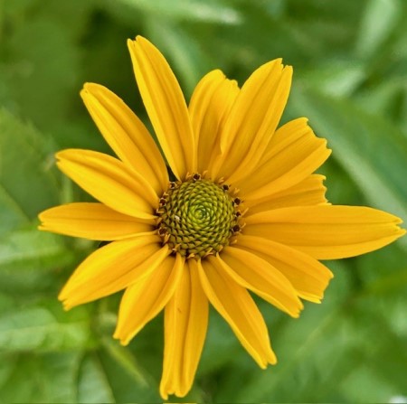 thumbnail_IMG_8793 (1)