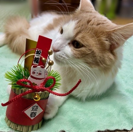 thumbnail_IMG_6056 (1)