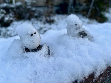 thumbnail_IMG_4568 (2)