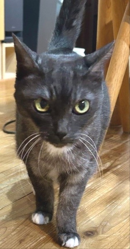 7baa5634-463a-415b-8c0f-96f11bcaa3e6