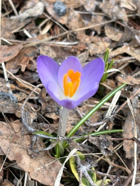 181c076c-eb9b-43e3-b925-016a09425919