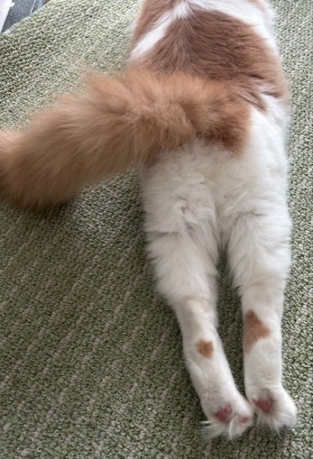 thumbnail_IMG_5569 (1)