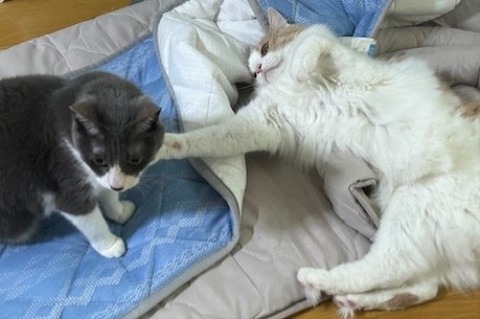 thumbnail_IMG_4201 (2)