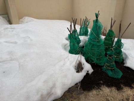 f3b2e474-8369-44fd-84c8-96347b37ea1f