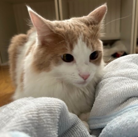 thumbnail_IMG_1588 (1)