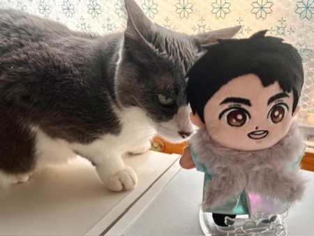 こひろみくん（郷ひろみさんのぬいぐるみ）の服作り⑫ : 猫だらけ