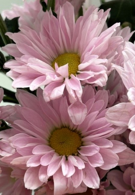 thumbnail_IMG_2545