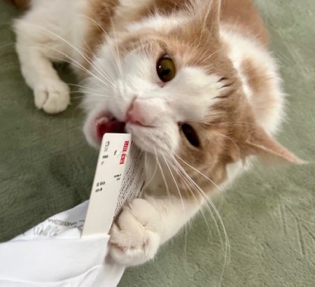 thumbnail_IMG_6727 (1)